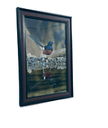 Framed Wildlife Photography Print, Magpie-Robin Bird Reflection,  34 x 24cm frame