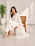 Cotton Salwar Suit Set with Daman Embroidery - Brown